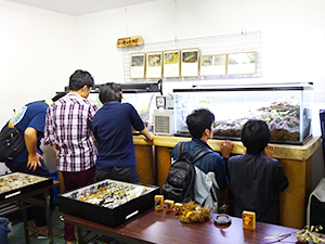 ミニ里山生物園特別企画No.3｢テラに棲む生物たちと里山昆虫標本コレクション｣を開催しました