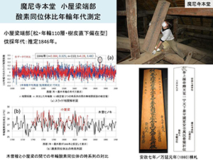 摩尼寺本堂小屋梁酸素同位体年輪年代測定